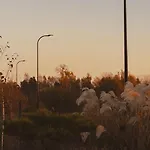 Kwiatowe N05 - Leba