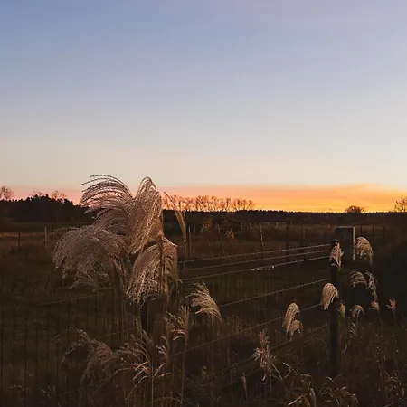 Шале Kwiatowe N05 - Леба