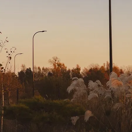 Kwiatowe N05 - Леба