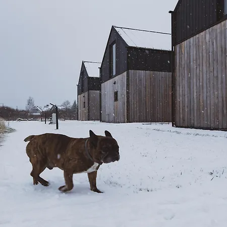 Шале Kwiatowe N05 - Леба