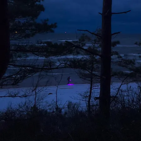 Kwiatowe N05 - Шале *