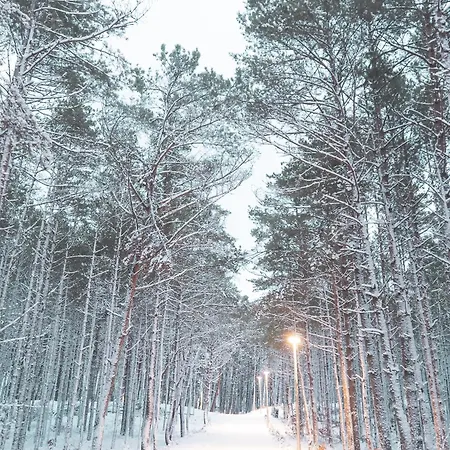 Шале Kwiatowe N05 - *