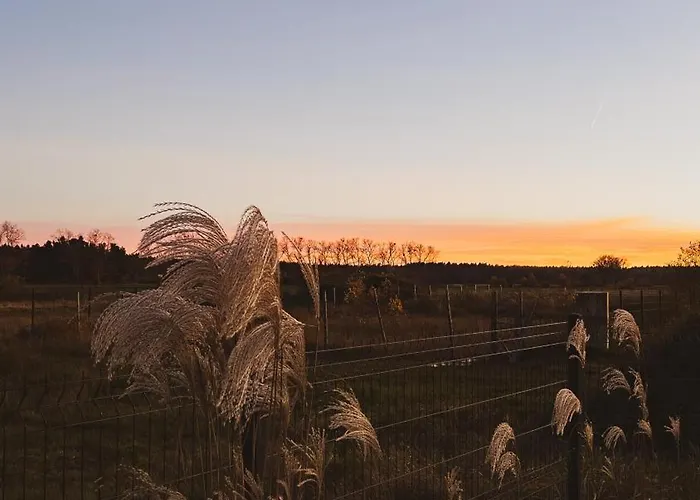 شاليه Kwiatowe N05 - ليبا