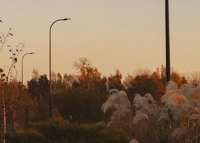 Kwiatowe N05 - ليبا