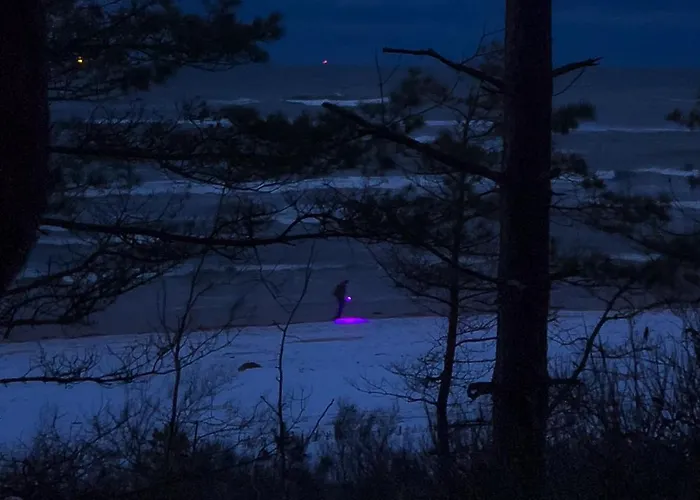 Kwiatowe N05 - شاليه *