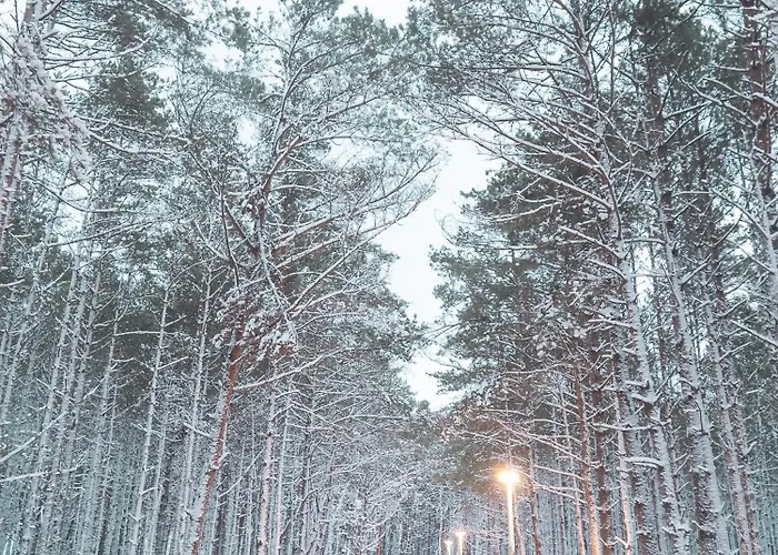 شاليه Kwiatowe N05 - *